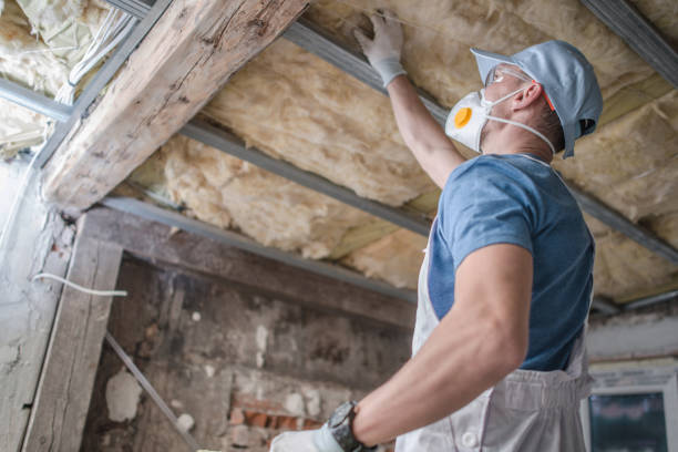 Best Specialized Insulation Services in Willow Creek, CA