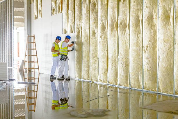 Best Eco-Friendly Insulation in Willow Creek, CA